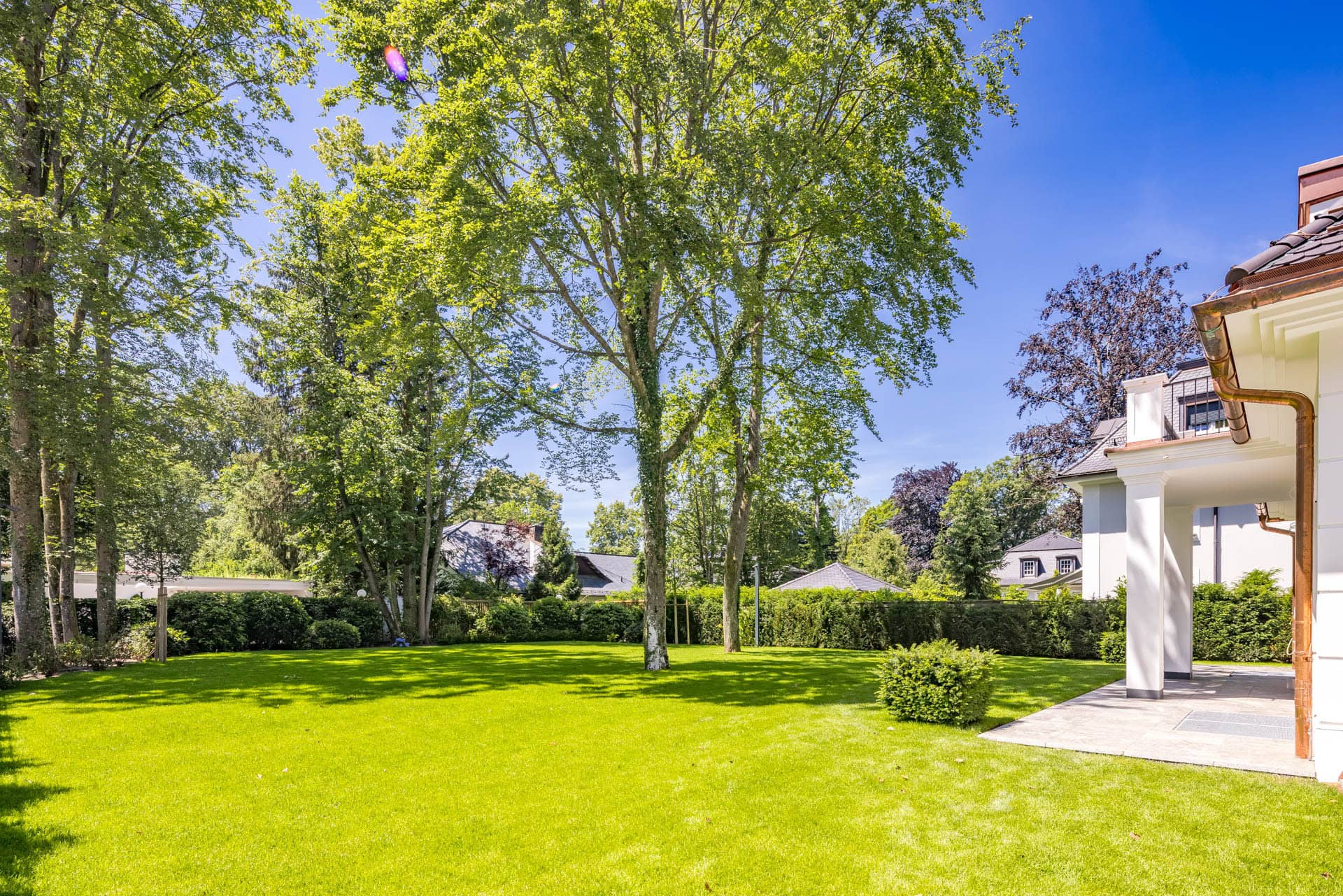 Garden 1