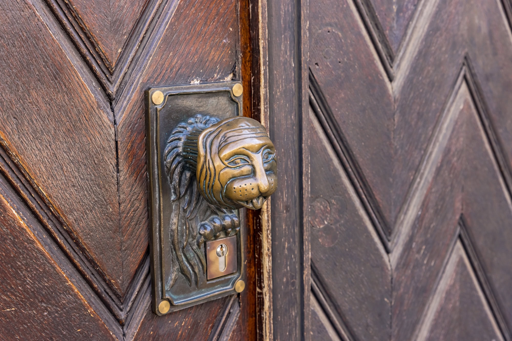 Detail Eingangstür