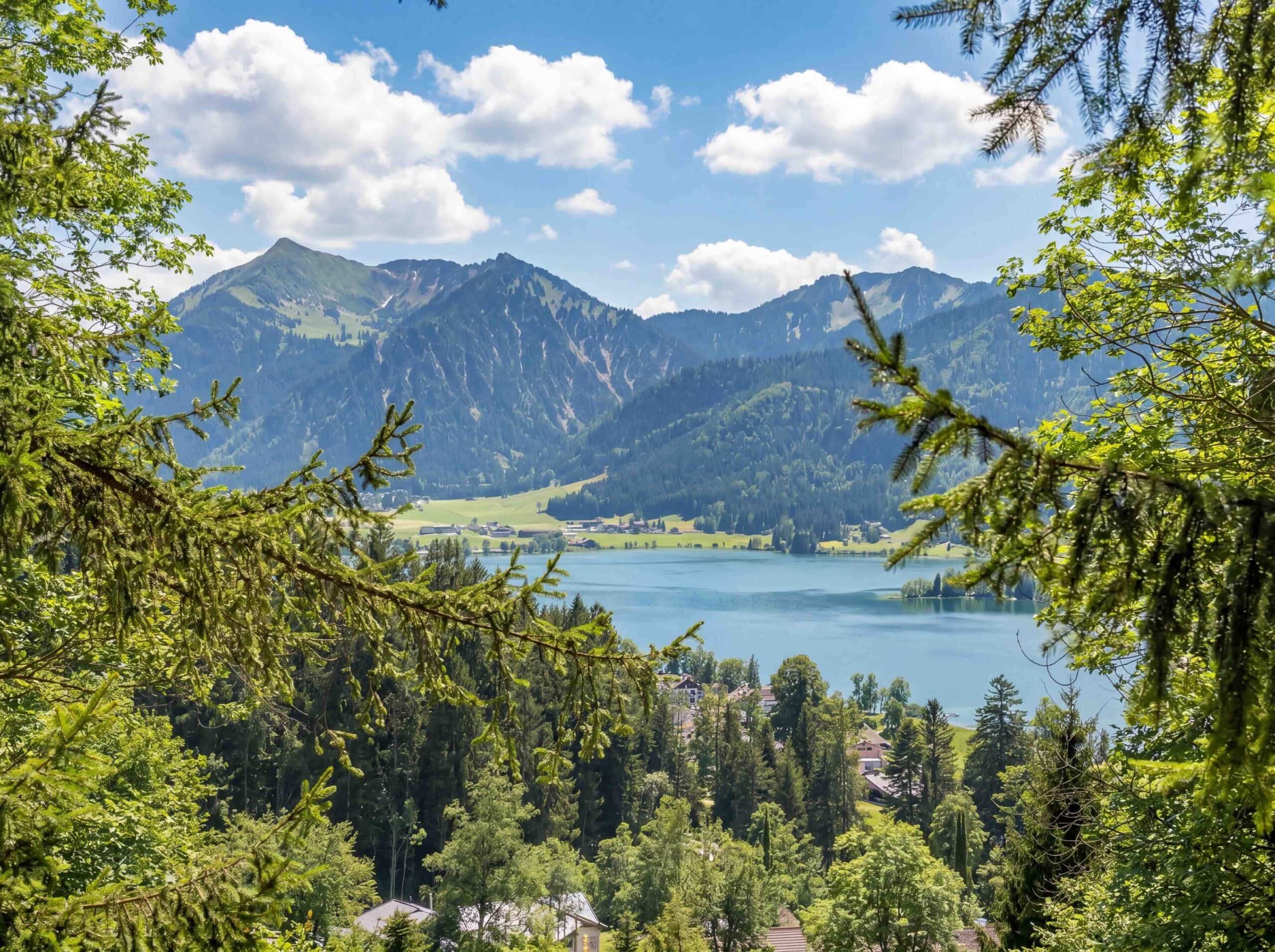 Seeblick