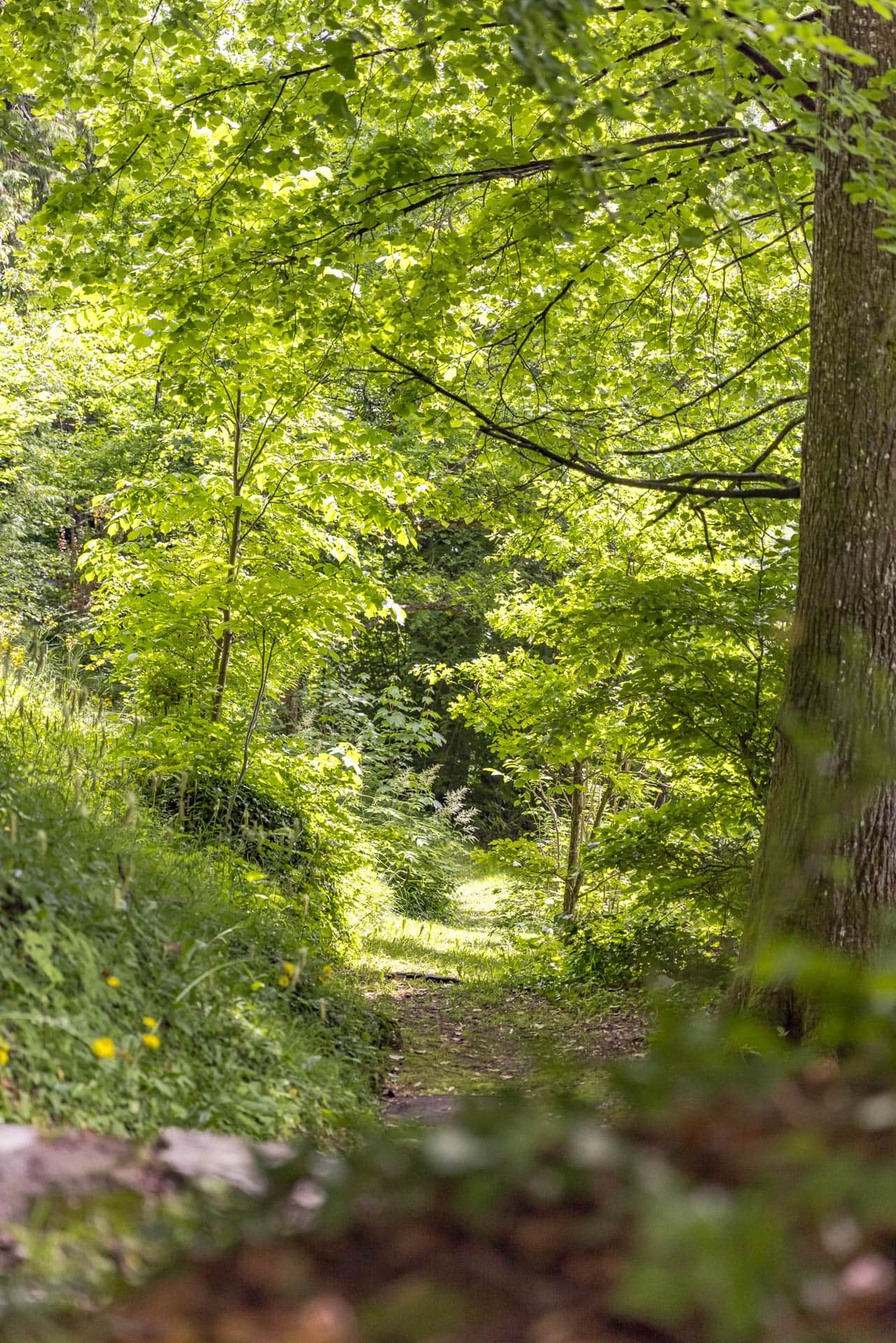 Parkgrundstück