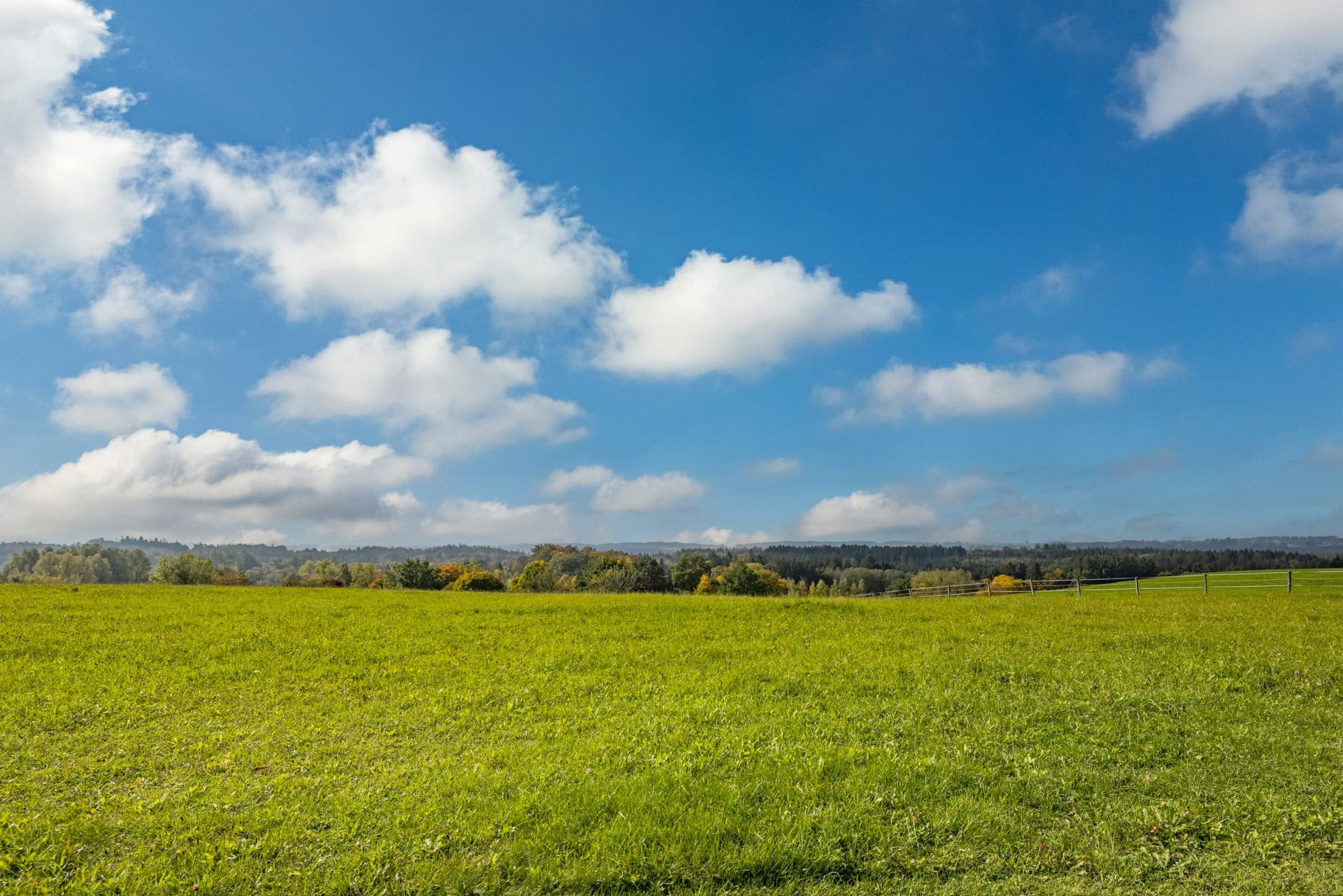 Blick zum Golfplatz