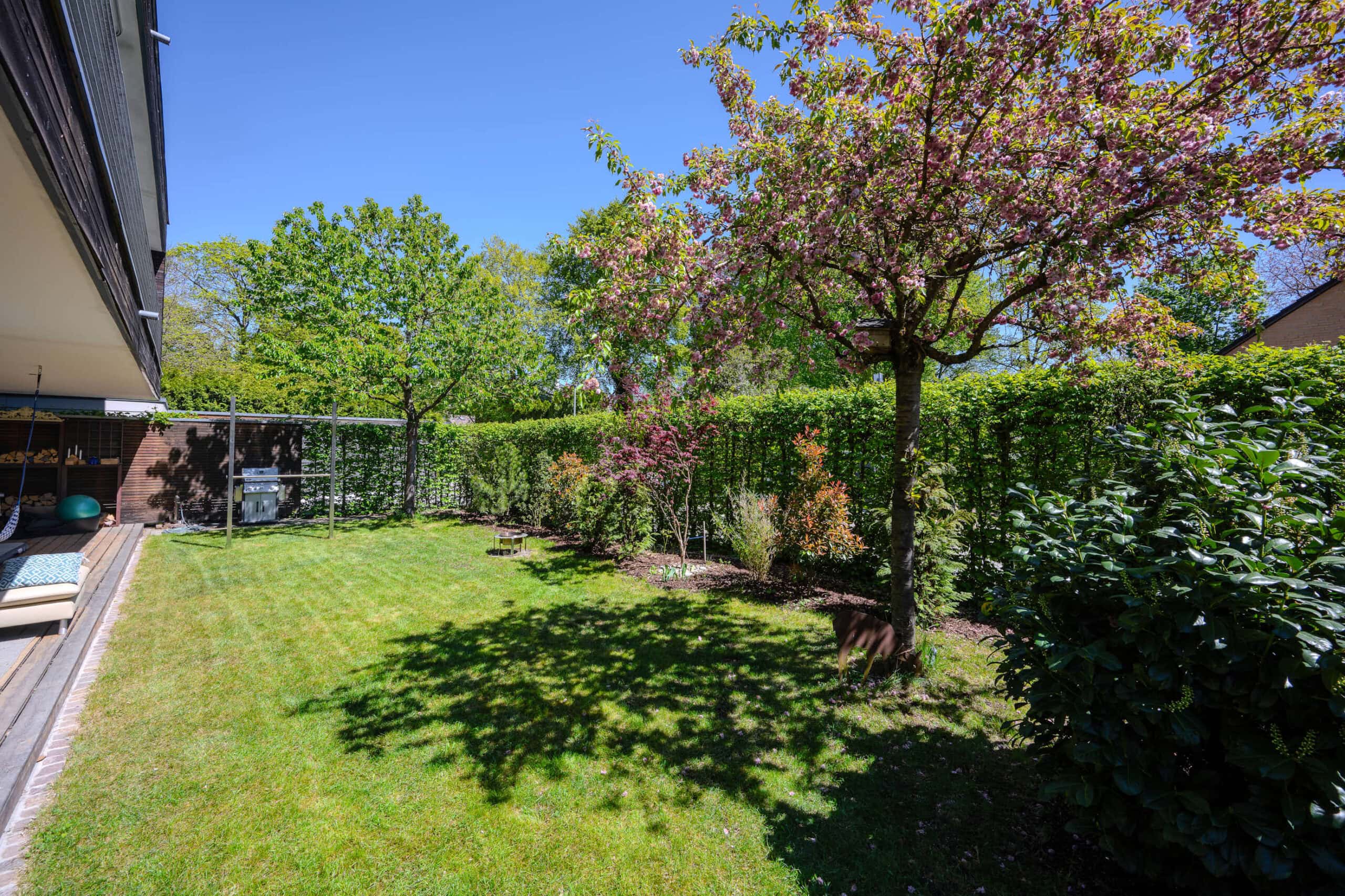 Gartenansicht Nr. 2