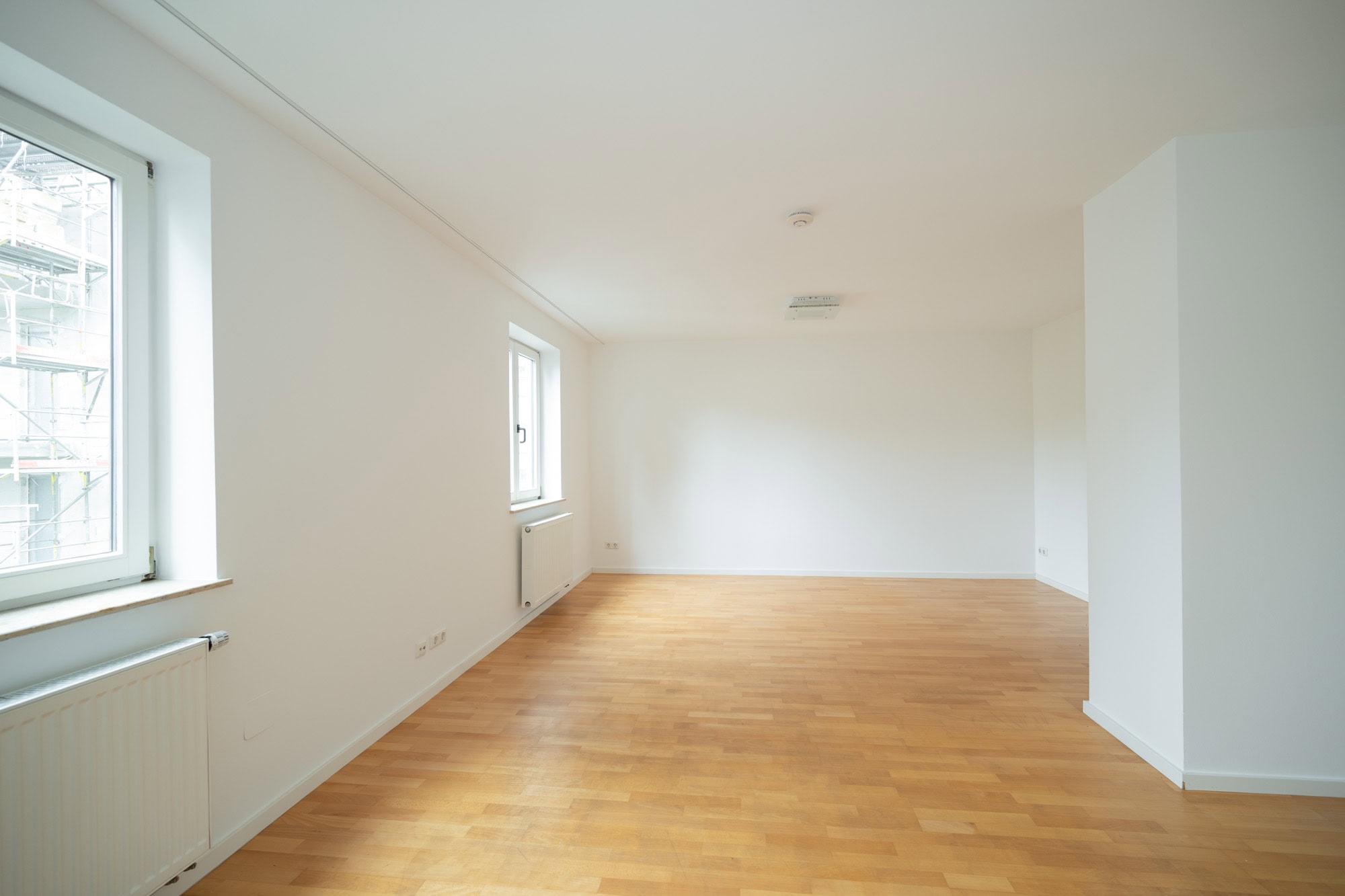 Living-dining area
