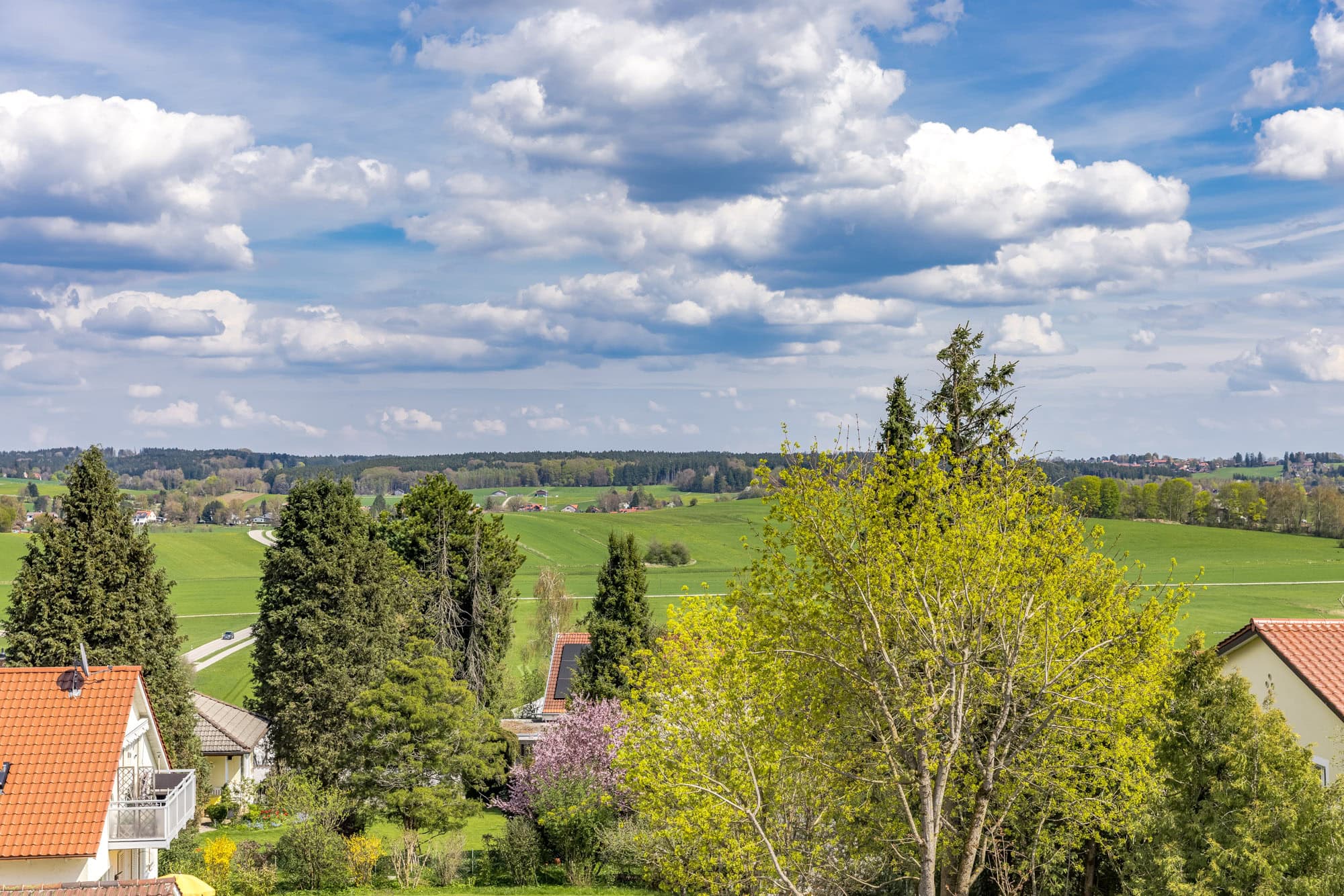 Ausblick