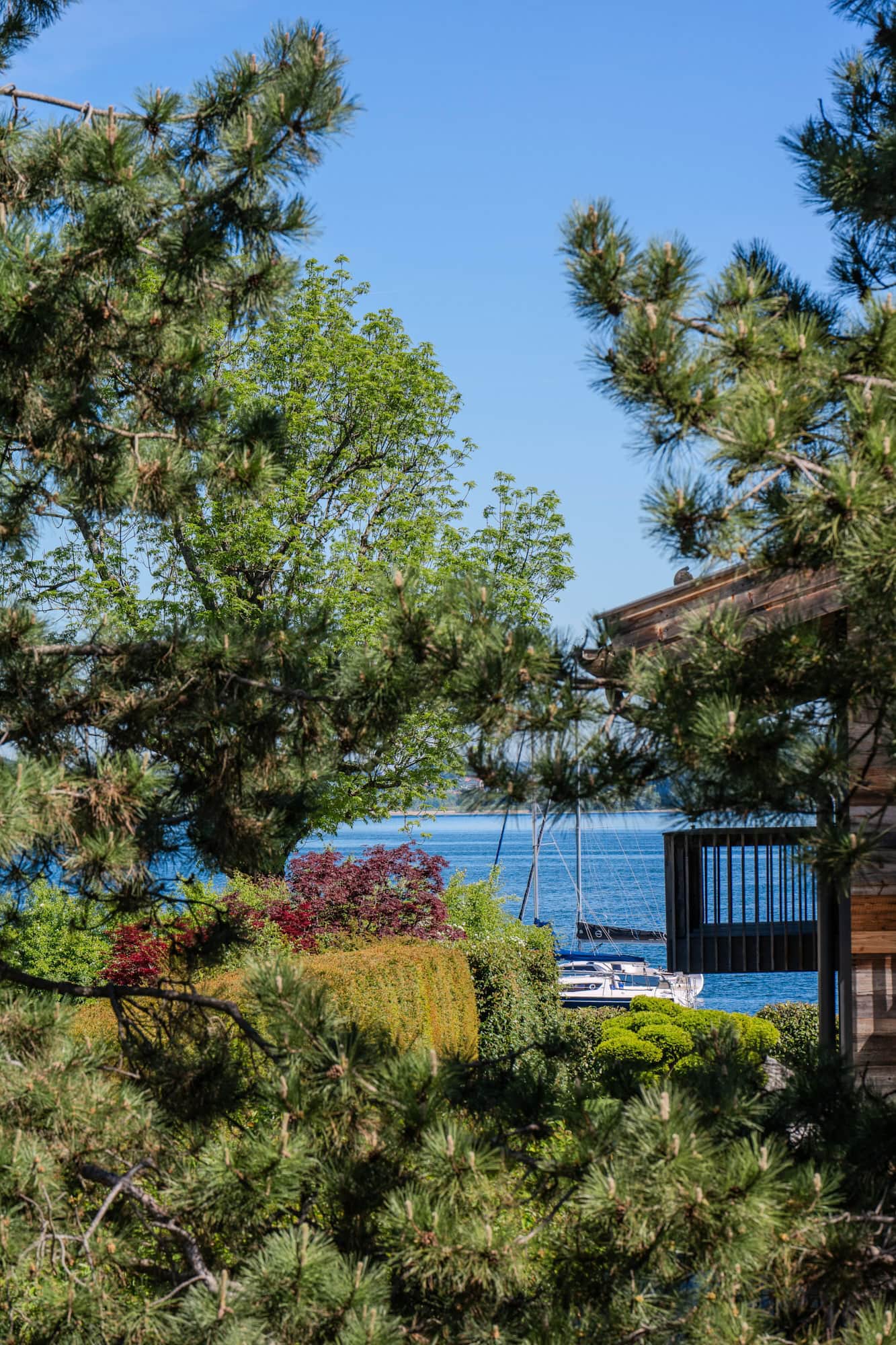Lake view