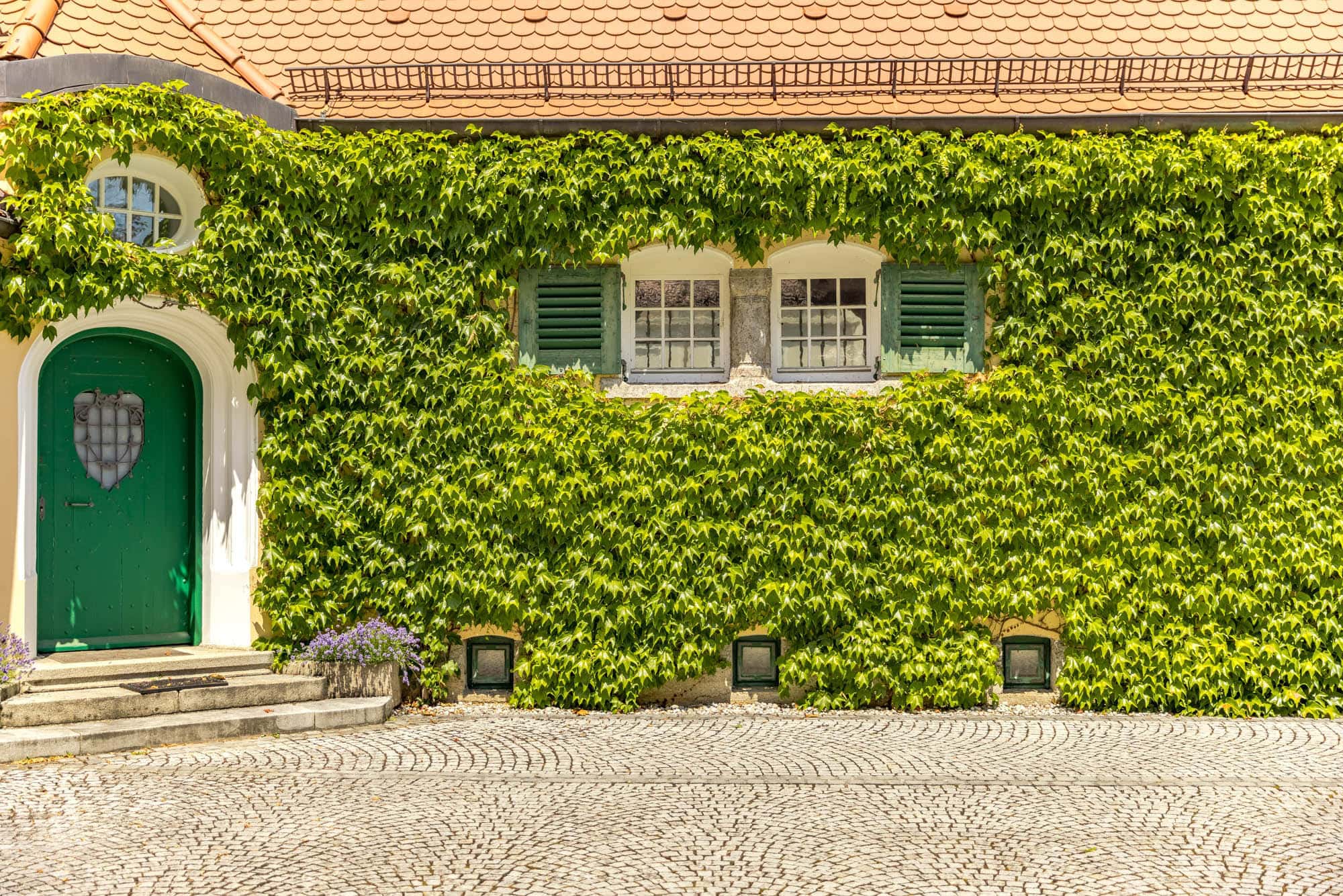 Exterior view