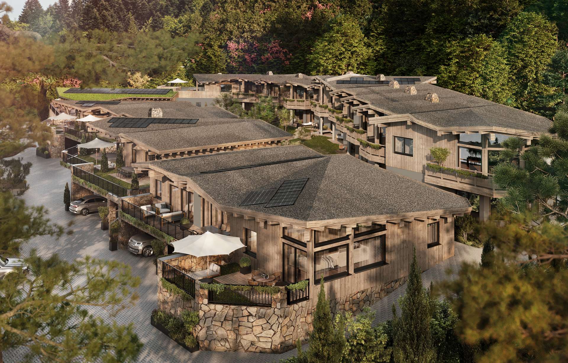 Chalet view