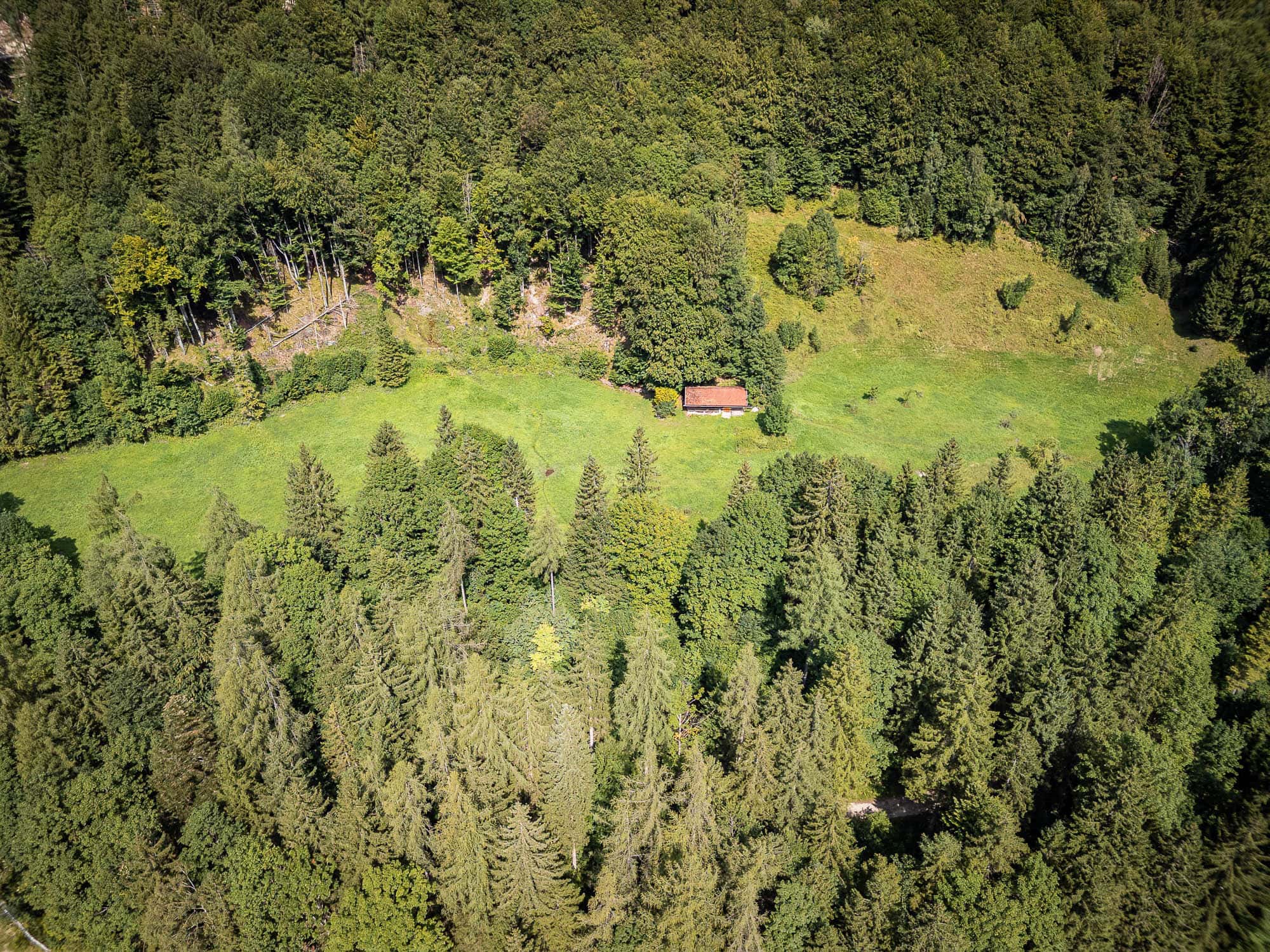 Grünbergalm