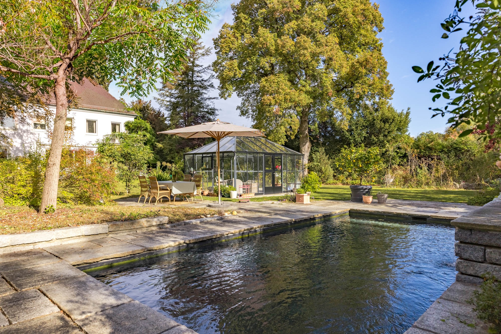 Garden with a natural pool