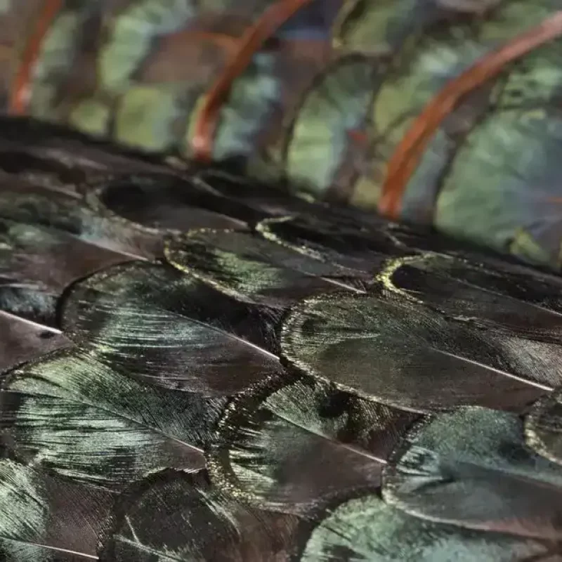 b_iridescent-peacock-feathers-koket-575561-relf6797915