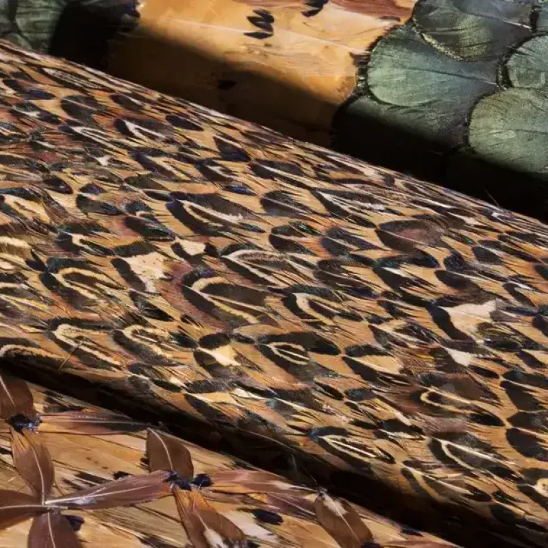 b_quail-feathers-koket-575565-rel53c8ad65